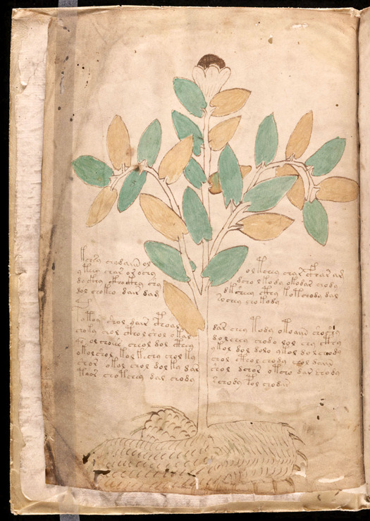The Voynich Manuscript